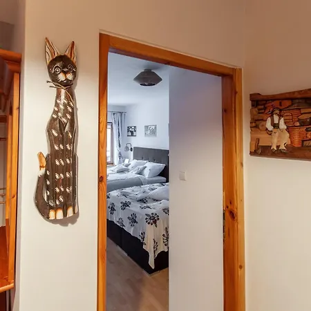 Apartserwis Zakopetranka Appartamento